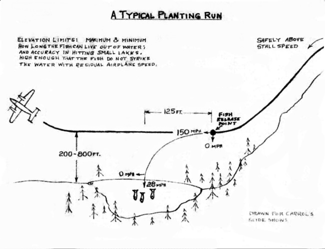 trout planting